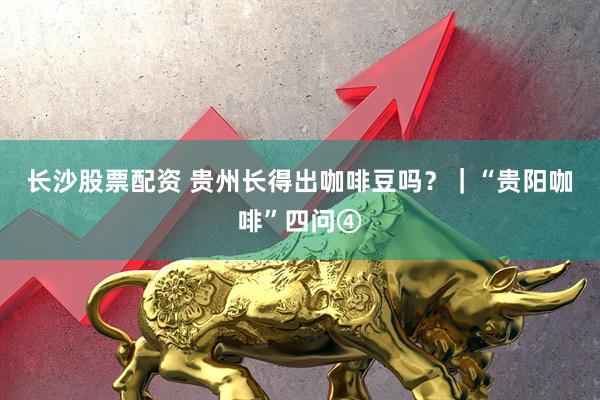 长沙股票配资 贵州长得出咖啡豆吗？｜“贵阳咖啡”四问④