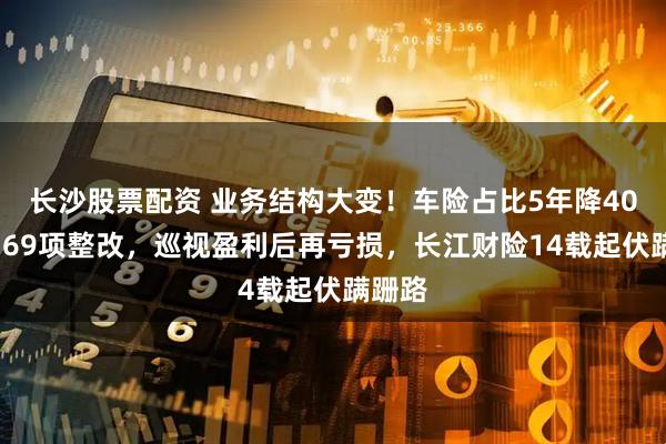 长沙股票配资 业务结构大变！车险占比5年降40%，169项整改，巡视盈利后再亏损，长江财险14载起伏蹒跚路